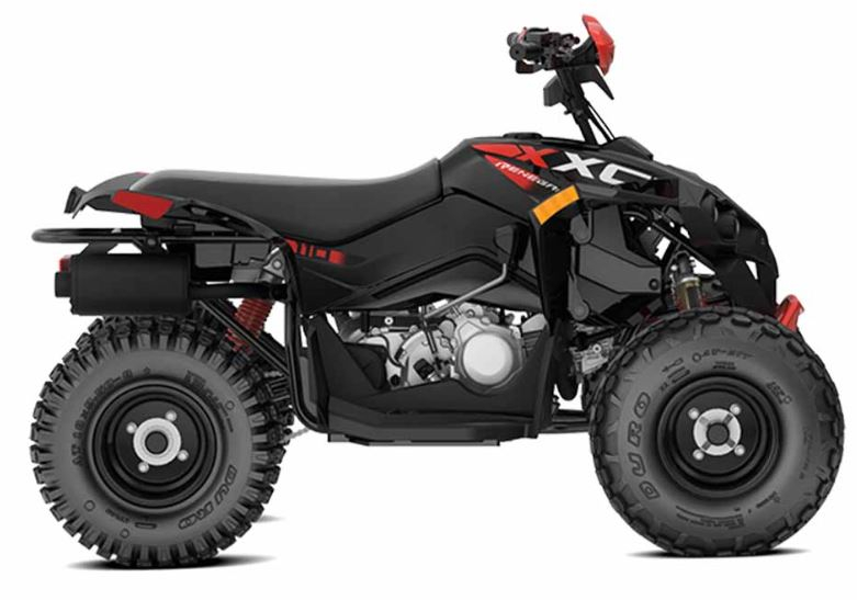 Renegade X Xc 110 Efi Black/red 2024